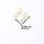1 Pair Elegant Vintage Zircon Inlay Stainless Steel Drop Earrings